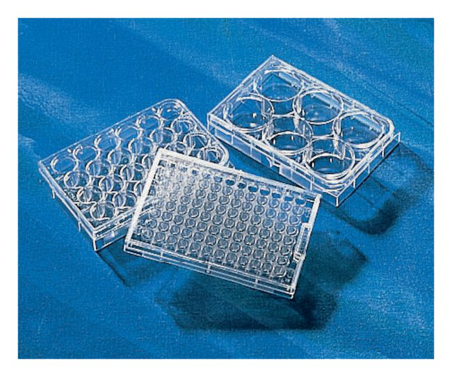 Placa de 24 pocillos múltiples de fijación ultrabaja Costar® Corning